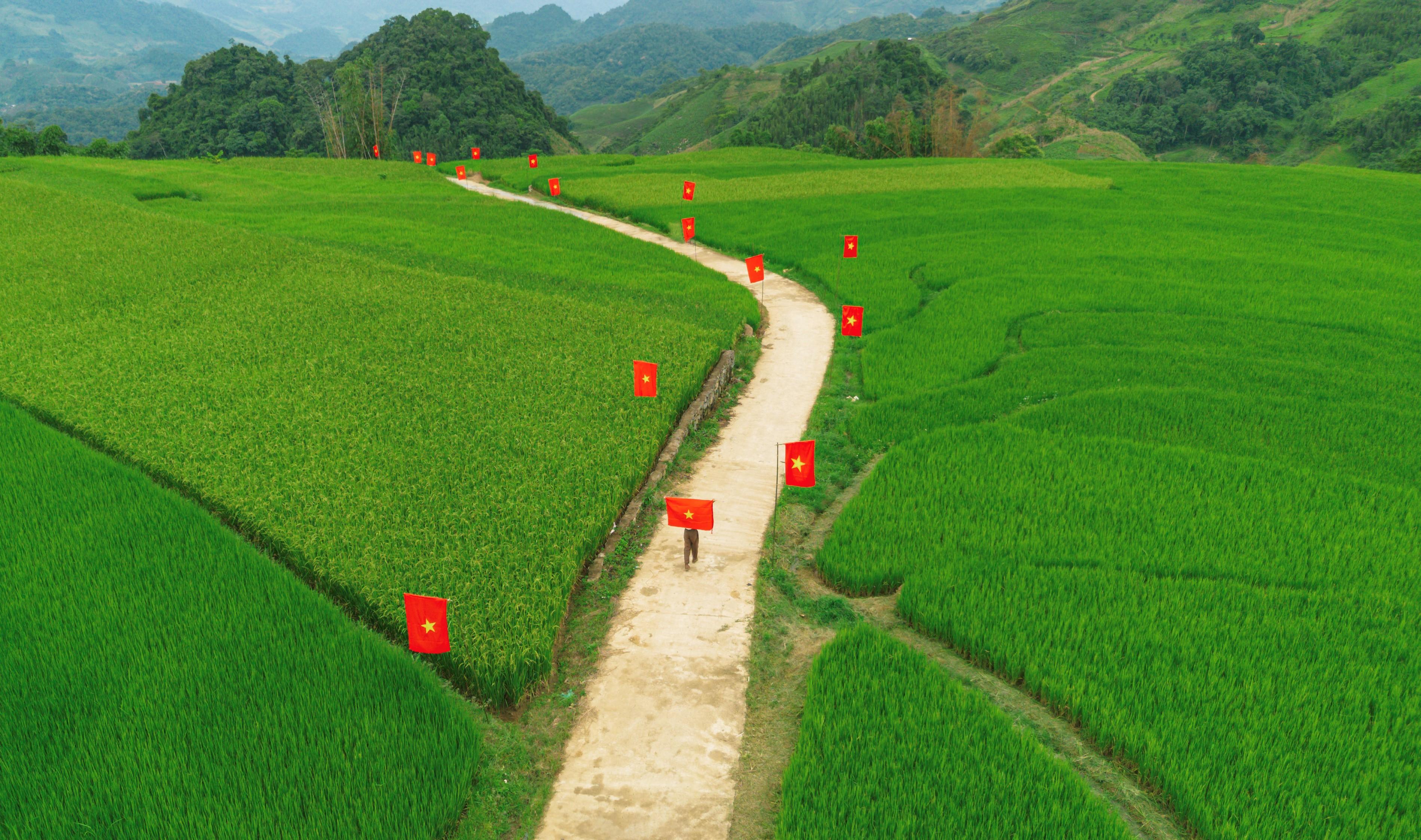 Du khách đến đây đừng quên check-in con đường treo cờ đỏ sao vàng rực rỡ, thực hiện bộ ảnh kỷ niệm dịp lễ Quốc khánh 2.9 năm nay.