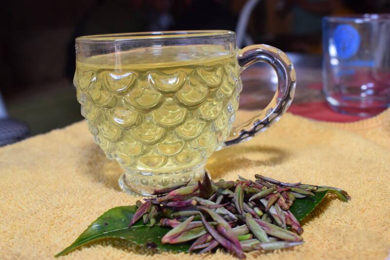 Nước từ búp chè có vị đắng nhẹ ban đầu, rồi thanh, ngọt hậu. Ảnh: Trường Sơn