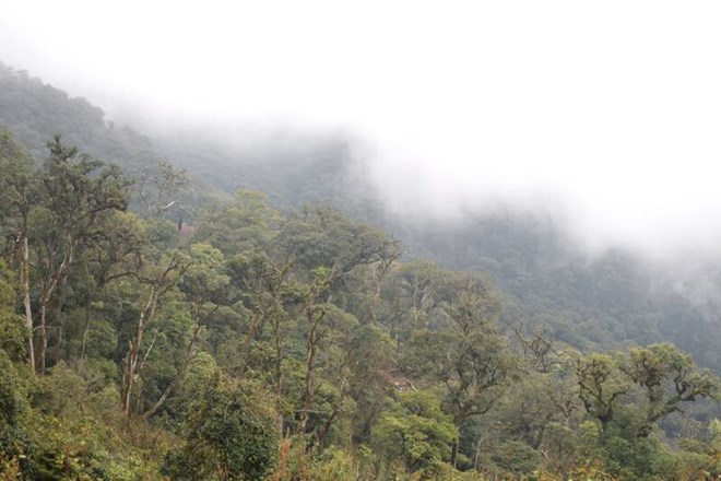 Những báu vật trăm tuổi giữa mây ngàn Tây Bắc