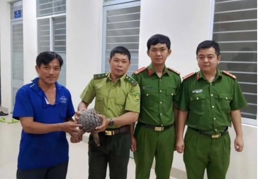 Anh Khánh Hải giao nộp con tê tê cho lực lượng chức năng.