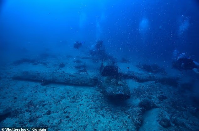 Tuy nhiên, một số nhà khoa học cho rằng số vụ tai nạn máy bay và đắm tàu trong Tam giác quỷ Bermuda hoàn toàn nằm trong phạm vi bình thường. Điều này có nghĩa là ngay từ đầu đã không có bí ẩn nào cần giải đáp. song-quai-vat-co-the-la-hung-thu-that-su-o-tam-giac-quy-bermuda-4.jpg