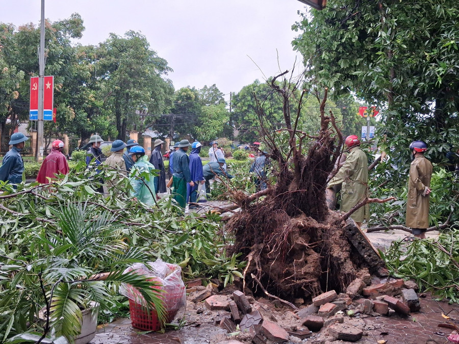 Trong sáng nay, nhiều cây xanh bị ngã đổ khiến nhiều tuyến giao thông ách tắc. 539206607-122180355080511131-3632370649770831265-n.jpg