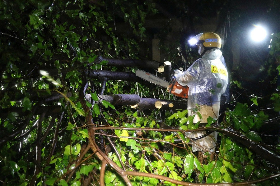 Lực lượng chức năng làm việc xuyên đêm, giải tỏa cây bị gãy đổ. images2035310-4.jpg