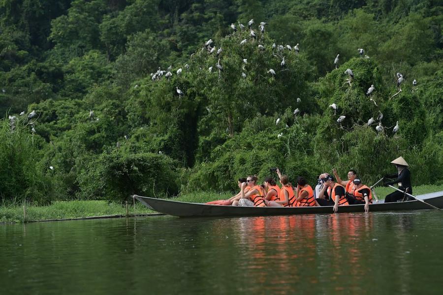 Du khách ngồi thuyền ngắm các loài chim hoang dã bay về tổ. thung-nham-noi-bao-ton-nhieu-loai-chim-quy-6.jpg