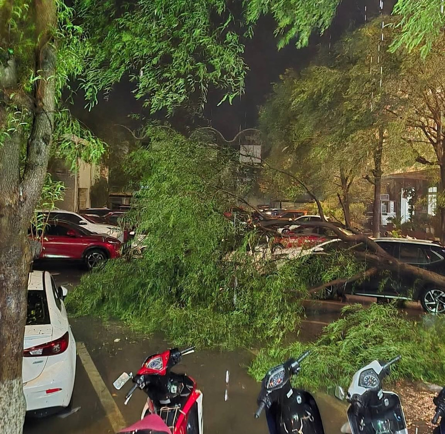 Tại các tuyến đường như Nguyễn Trãi, Quốc lộ 46, Lê Mao, Trần Phú… nhiều cây cổ thụ không trụ nổi trước sức gió lớn nên bị gãy đổ chắn ngang lòng đường. fb-img-1756126778131.jpg