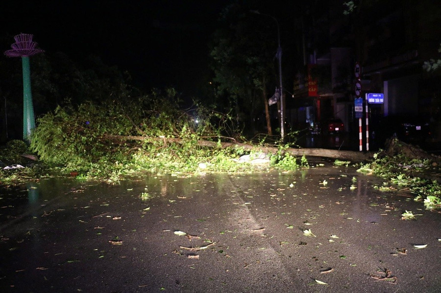Gió giật mạnh cũng khiến lưới điện trên địa bàn tỉnh Nghệ An xảy ra sự cố, mất điện diện rộng. images2035312-6.jpg