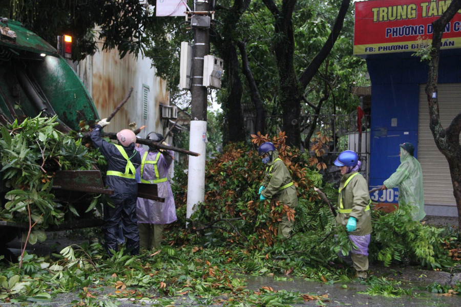 Các nhân viên môi trường khẩn trương khắc phục sự cố cây đổ, đảm bảo giao thông. 8.jpg