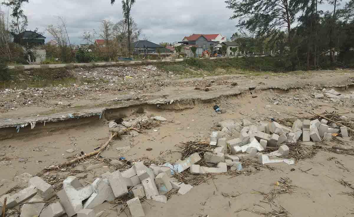 Ảnh: Trần Tuấn.