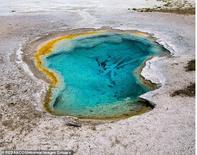 Các nhà khoa học vẫn chưa thống nhất về cách thức sự sống trên Trái Đất bắt đầu, nhưng một số người nghi ngờ rằng nó bắt đầu từ việc vi khuẩn được đưa từ vũ trụ lên các thiên thạch. su-song-tren-trai-dat-co-the-do-nguoi-ngoai-hanh-tinh-thiet-ke-3.jpg