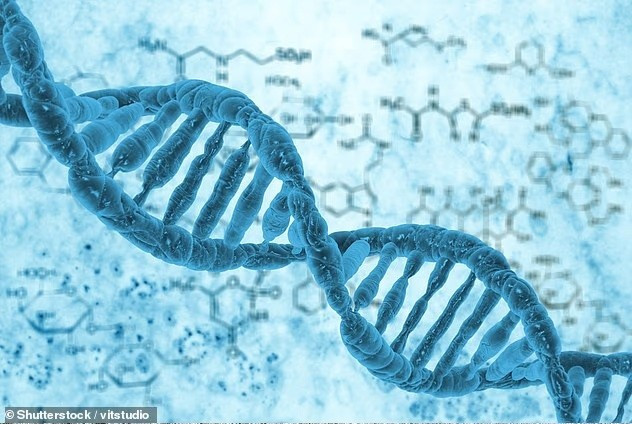 Nếu DNA không đến từ vũ trụ, ông Endres cho biết phải mất một quá trình nhất quán diễn ra trong hơn 500 triệu năm để hình thành các tế bào cơ bản. su-song-tren-trai-dat-co-the-do-nguoi-ngoai-hanh-tinh-thiet-ke-4.jpg
