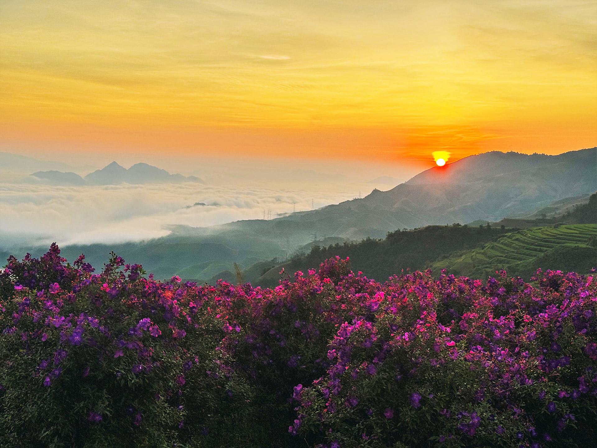 Biển mây ở đồi sim Suối Bon thường có vào buổi sáng sớm từ khoảng 5h sáng. Mây trắng bồng bềnh trên những đỉnh núi đỉnh đồi đằng xa, sắc tím của hoa sim lấp lánh dưới ánh ban mai ngay dưới chân bạn tạo nên khung cảnh thần tiên.