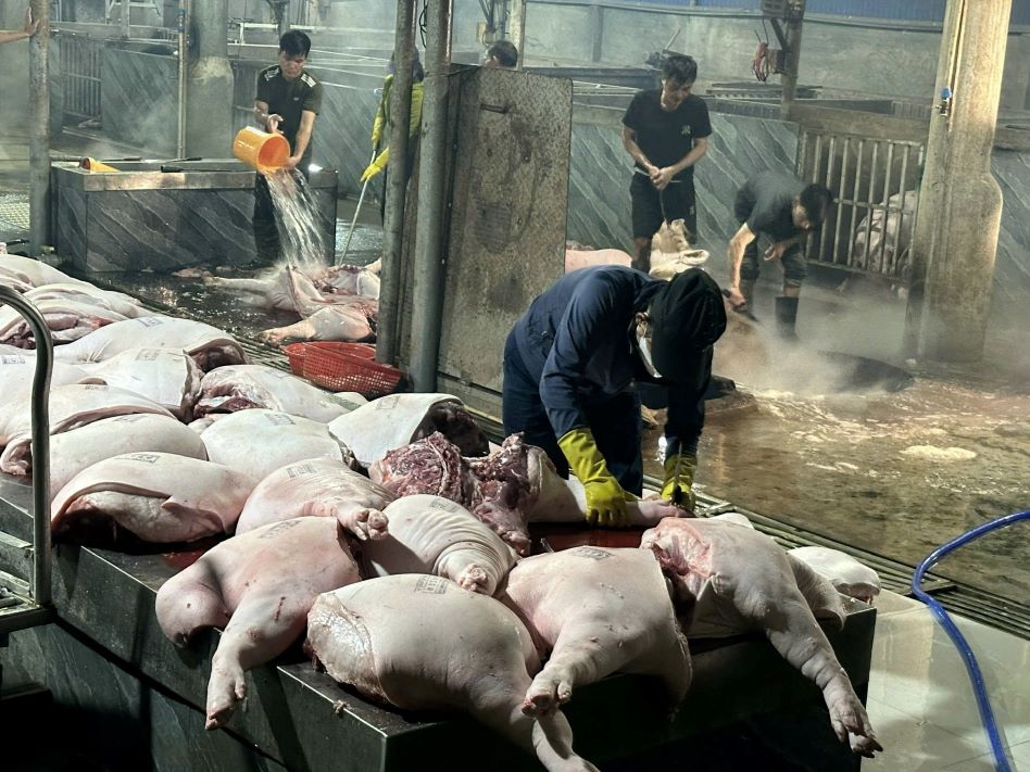 Lò mổ gia súc được kiểm tra chặt chẽ. Ảnh: Minh Anh