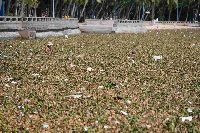 Vũng Tàu triển khai nhiều giải pháp ngăn rác thải tấn công biển