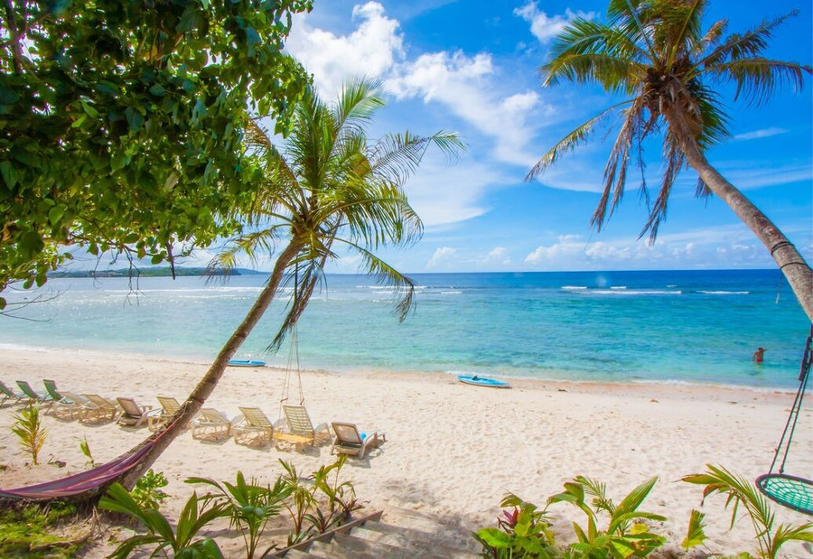 Đảo Guam ở Thái Bình Dương đã trở thành trung tâm của một thảm họa sinh thái nghiêm trọng.