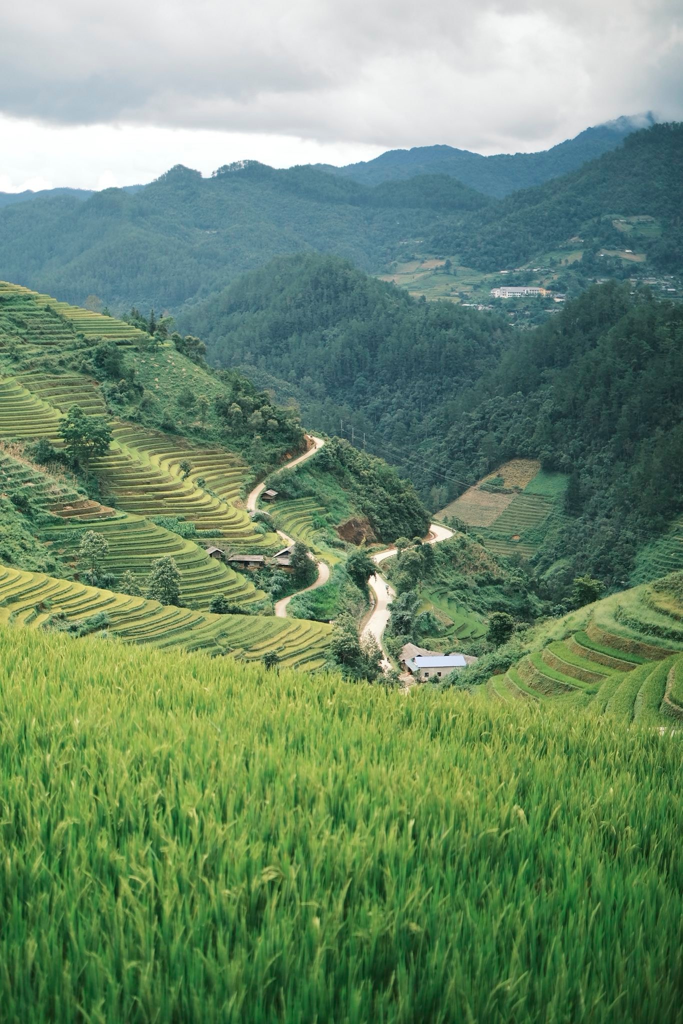 Đạt chia sẻ: “Đường đi ở Mù Cang Chải khá xóc, gập ghềnh, nếu di chuyển nhiều nên lựa chọn phương tiện phù hợp như xe giường nằm từ Hà Nội lên, thuê xe ôtô riêng, thuê xe máy xe ôm của dân bản địa...”