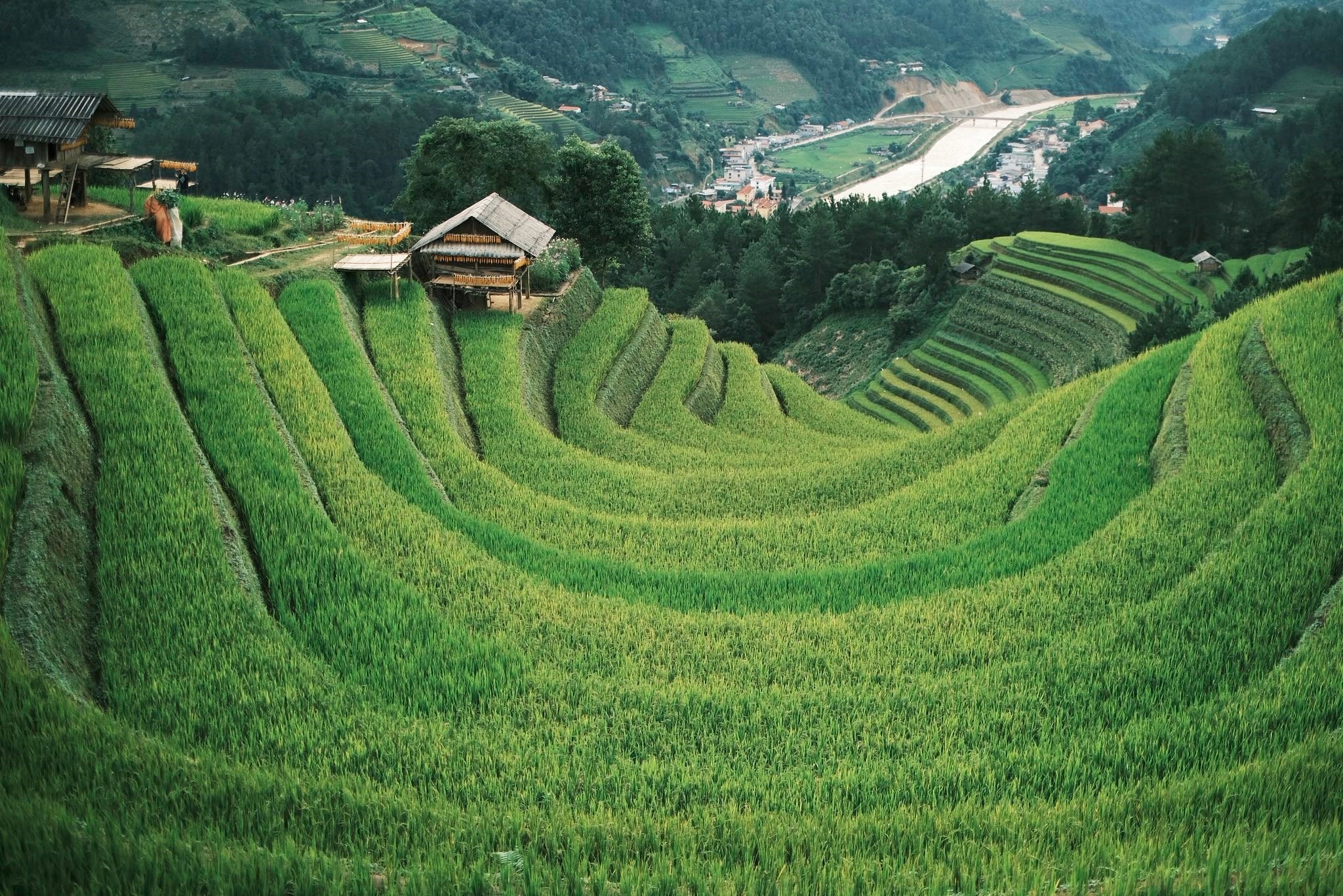 Khung cảnh đồi Móng Ngựa, một địa điểm thuộc xã La Pán Tẩn cũ (nay là xã Púng Luông). Những thửa ruộng uốn lượn vòng quanh như từng lớp móng ngựa nối tiếp. Đây là nơi vừa có thể đón bình minh hoặc hoàng hôn, chụp ảnh check-in để có những bức ảnh đặc trưng về mùa lúa Mù Cang Chải.
