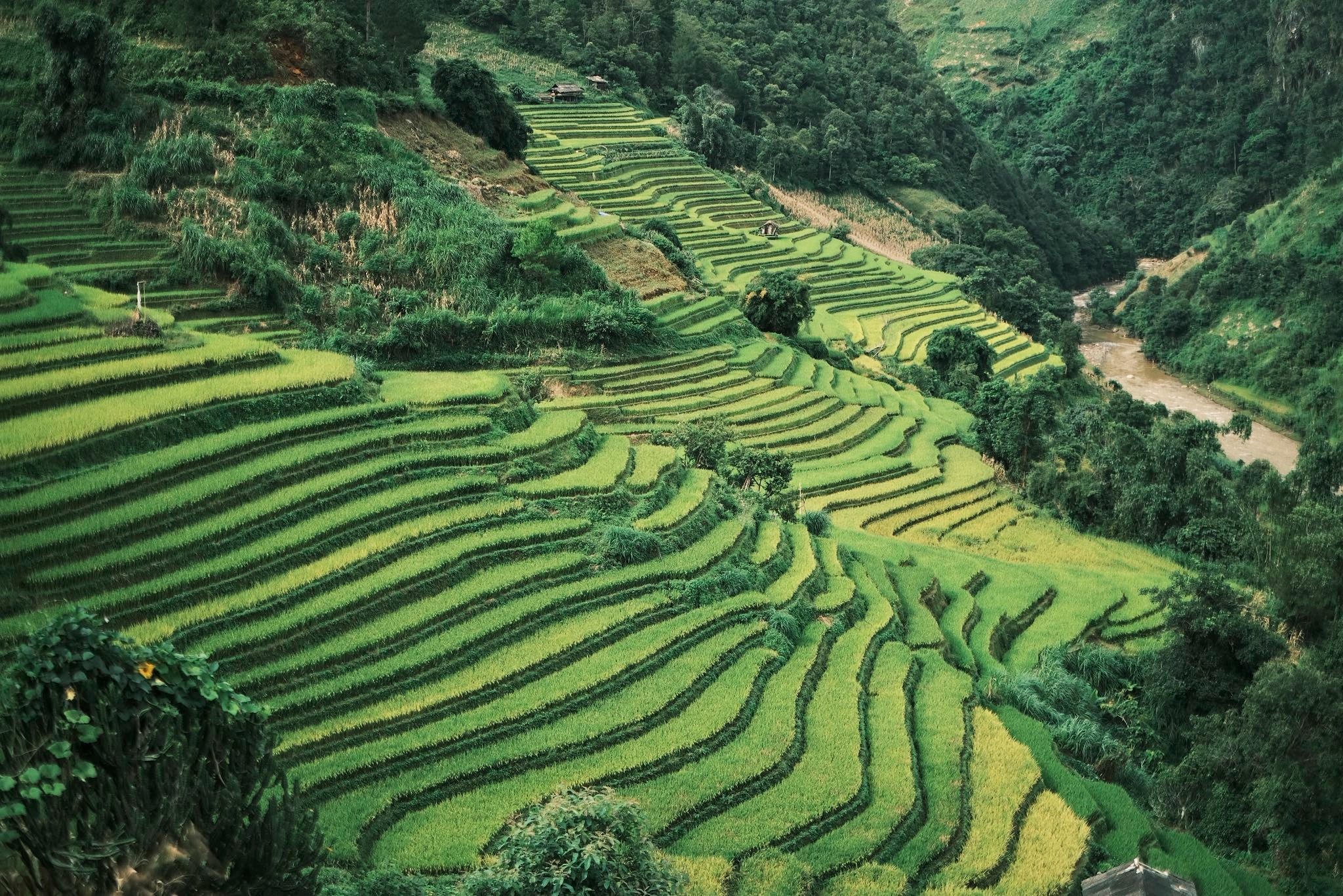 Trong 3 ngày 2 đêm, Đạt có ghé thăm các địa điểm: đồi Móng Ngựa, đồi Mâm Xôi, ruộng bậc thang Mũi Giày, bản Lìm Thái, đèo Khau Phạ... Ba ngày là thời gian vừa đủ để di chuyển cũng như tham quan.