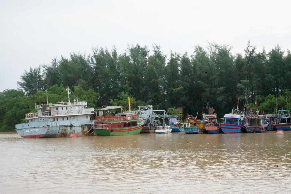 Hàng nghìn tàu thuyền ở Thanh Hóa đã vào nơi tránh trú an toàn trước bão Ragasa. Ảnh: Quách Du