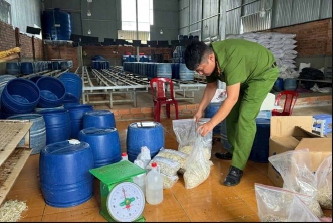 Tuyên án các bị cáo dùng chất cấm để ngâm giá đỗ ở Đắk Lắk