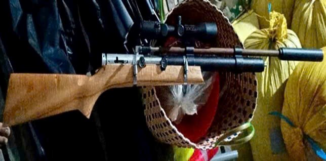 Rao bán súng tự chế trên mạng, bị cáo Trương Vô Kỵ bị phạt 1 năm 6 tháng tù