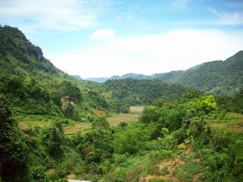 Phát hiện cá thể hổ tại Phú Thọ