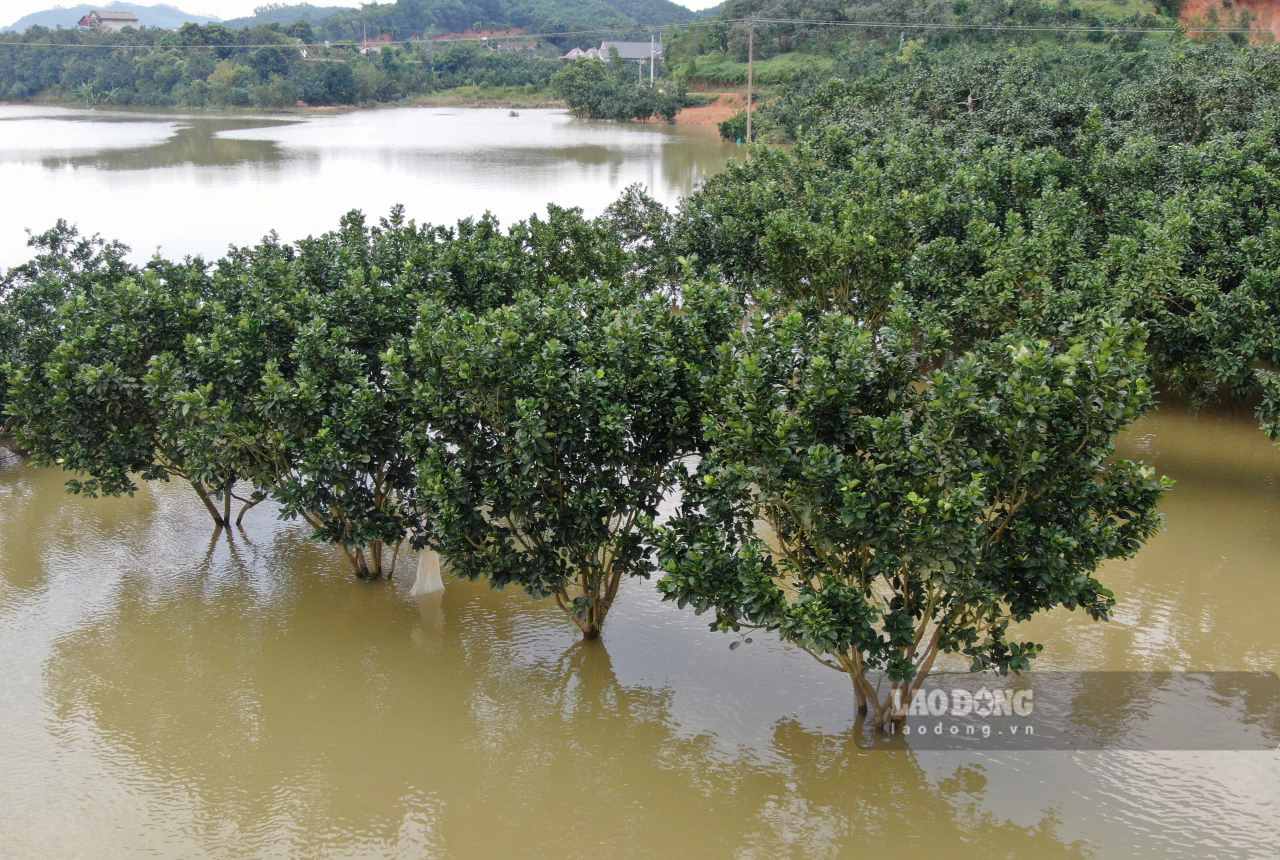 Hiện tại, nhiều diện tích vẫn ngập trong nước. Ảnh: Văn Đức.