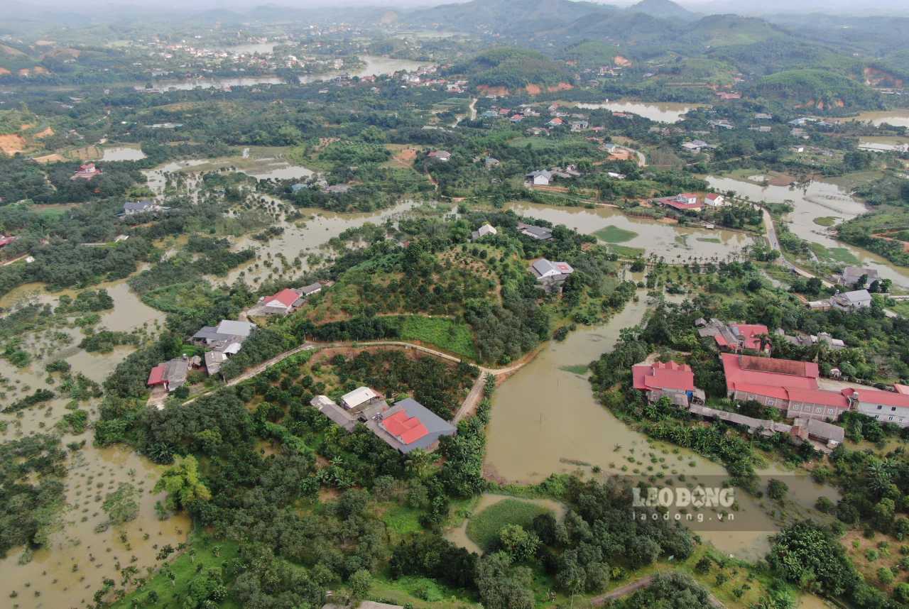 Hơn 150ha bưởi xã Thác Bà bị ngập, úng sau đợt mưa lũ vừa qua. Ảnh: Văn Đức