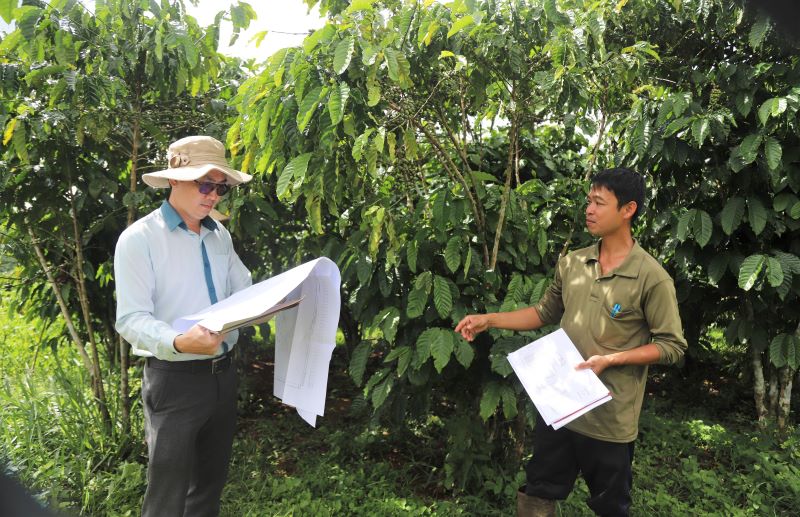 Các đơn vị liên quan đẩy nhanh tiến độ kiểm đếm, đo đạc. Ảnh: Lam Hồng