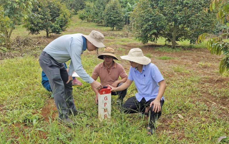 Các đơn vị chuyên môn tổ chức đo đạc, lập phương án bồi thường. Ảnh: Lam Hồng