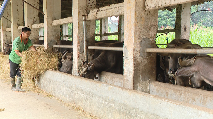 Tuyên Quang đưa chính sách vào cuộc sống giúp người dân thoát nghèo. 6ec5a8af6a1d44af03cb663213a9cb58.jpg