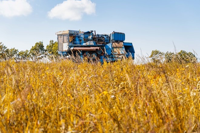 Nga chiếm 20-25% thương mại ngũ cốc toàn cầu. Ảnh: Xinhua