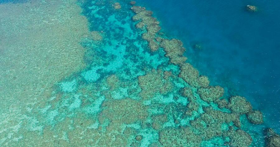 Rạn san hô Great Barrier ở bang Queensland, Australia, ngày 2.6.2021. Ảnh: Xinhua