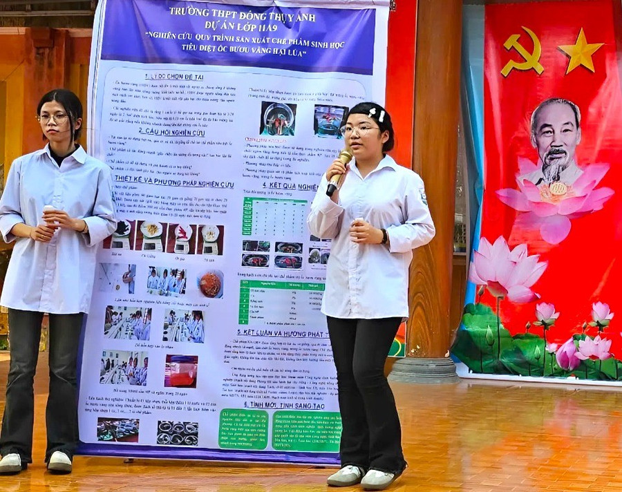 dong-thuy-anh.jpg