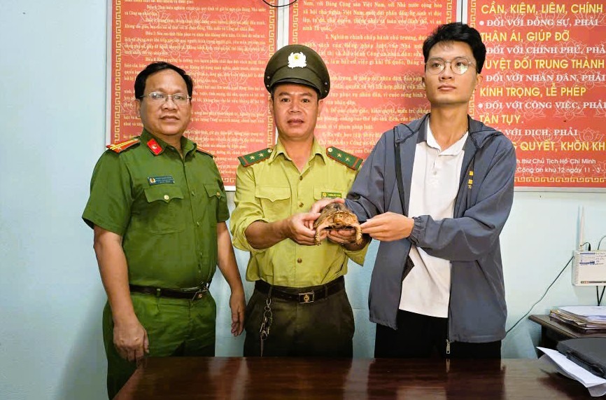 Người dân Đà Nẵng giao nộp rùa hộp trán vàng quý hiếm cho cơ quan chức năng. Ảnh: CACC