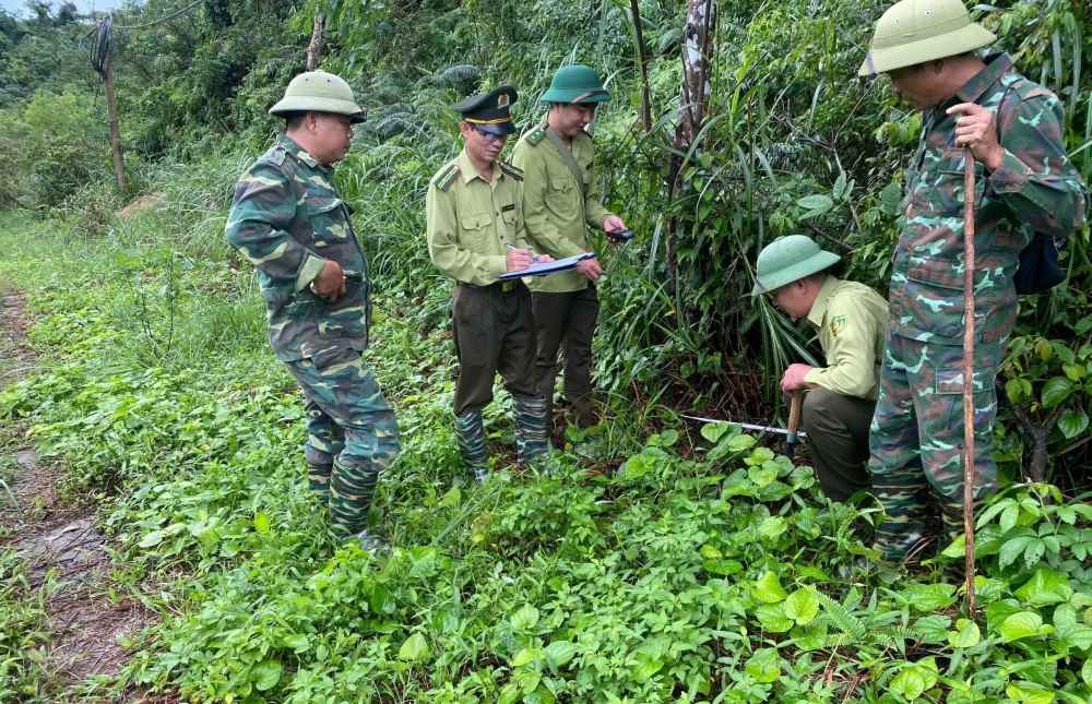 Đoàn giám sát đo đếm dấu vết động vật hoang dã trên tuyến giám sát. Ảnh: Ban Quản lý Vườn quốc gia Bái Tử Long