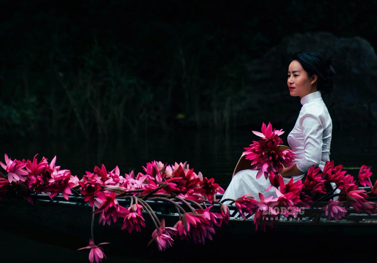 Hoa súng nở rộ thu hút nhiều du khách tham quan, chụp ảnh. Chị Quỳnh Hương (du khách Nghệ An) chia sẻ: