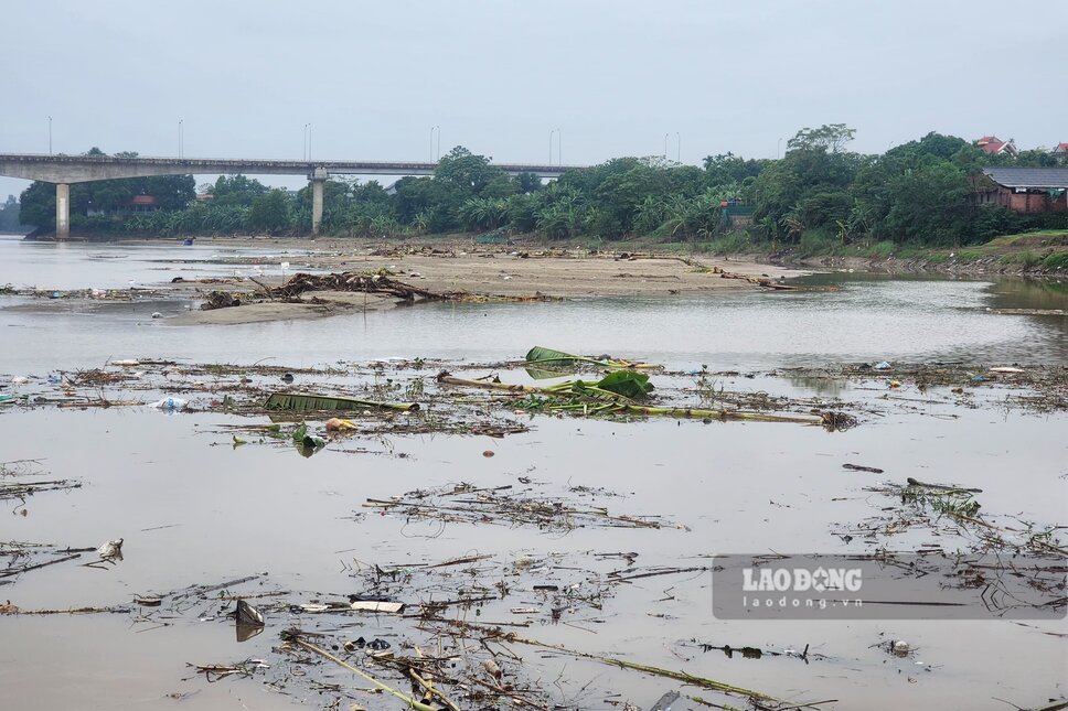 Sau khi nước sông đã rút, cồn cát bắt đầu xuất hiện, cây côi và rác thải ngổn ngang từ trên bờ xuống dưới lòng sông. Ảnh: Tô Công.