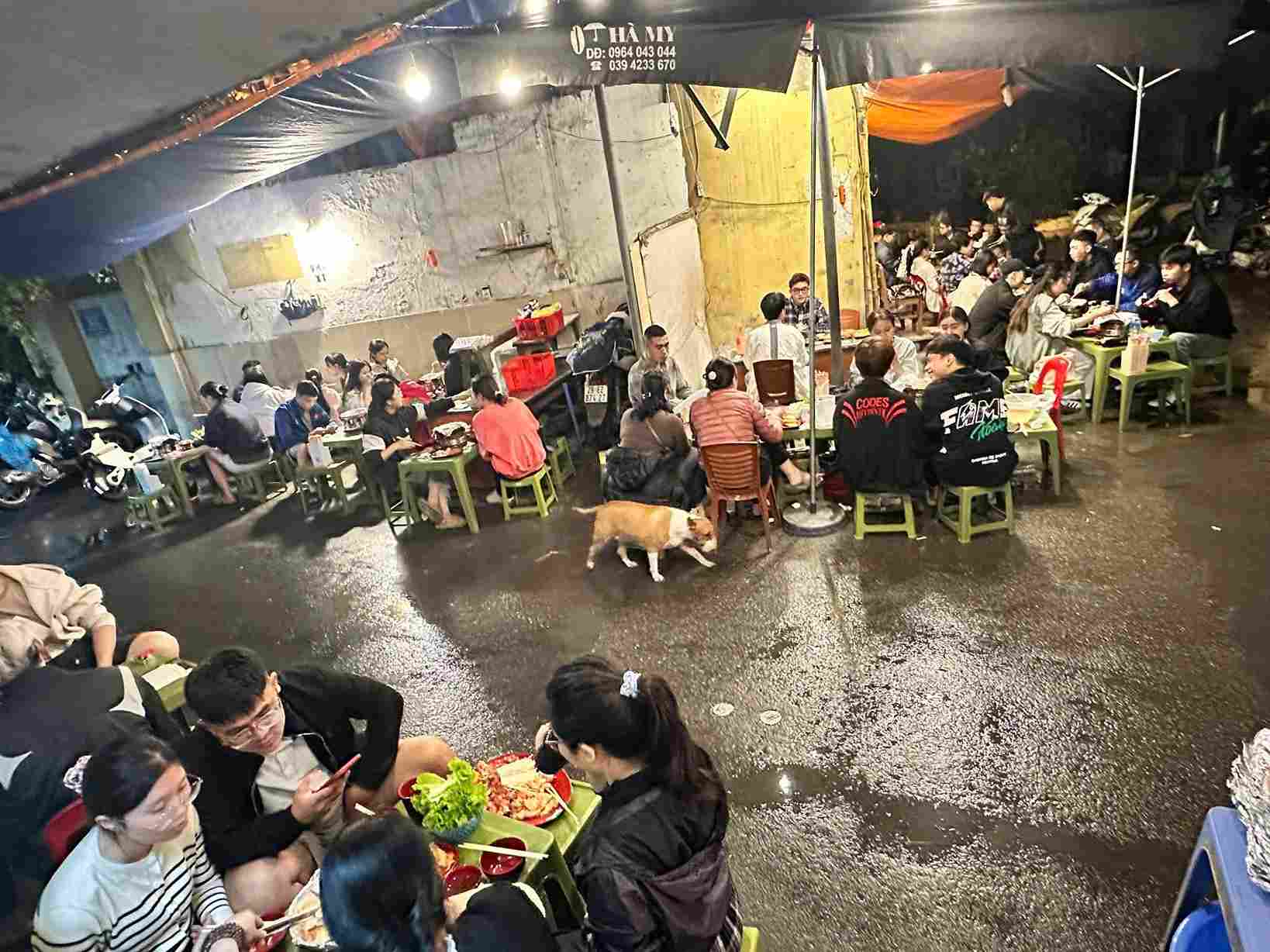 Chú chó Tam được coi như “nhân viên” tại quán. Ảnh: Beo nướng