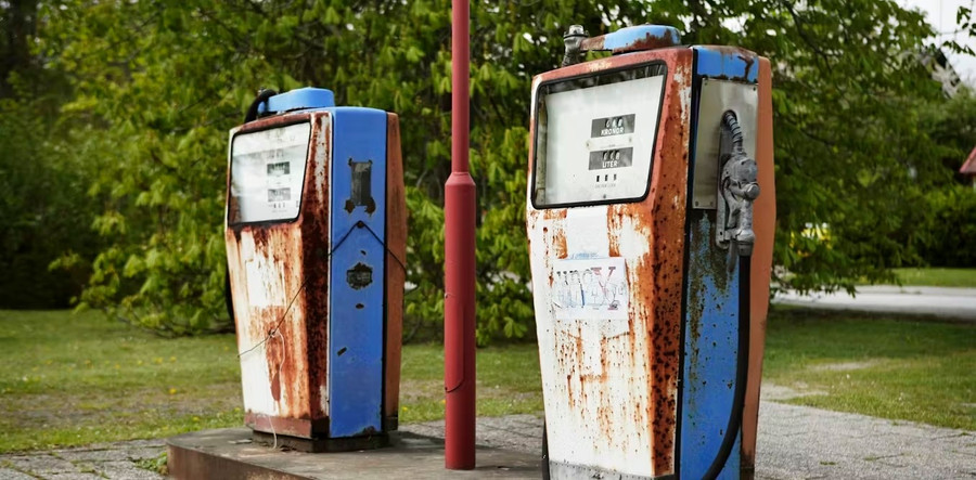 New Orleans khét tiếng vùng đất ngộ độc chì. Ảnh: Theconversation.com sinh-vat-bat-chap-chi-1.jpg