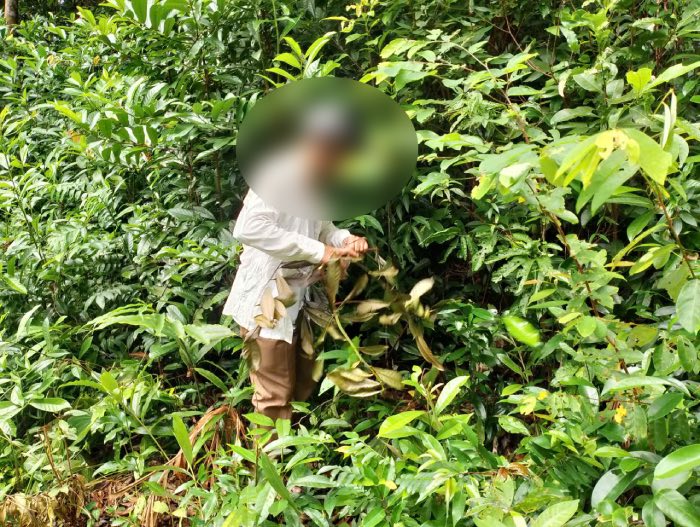 “Cò thưa kiện” lần tìm nơi từng được coi là đặt cột mốc ranh của VQG Phú Quốc. Ảnh: Nhóm PV.