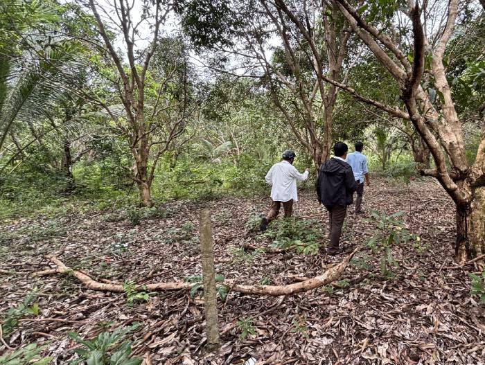 Bạn đọc mời chúng tôi đi sâu vào bên trong phía rừng. Ảnh: Nhóm PV.