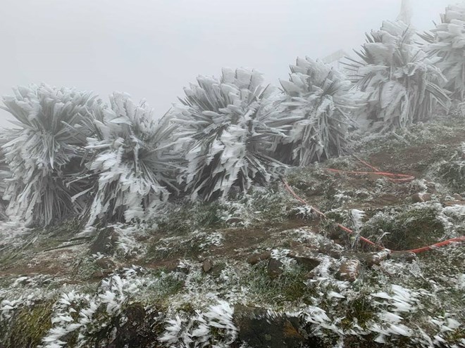 Không khí lạnh cực mạnh tuần tới, báo hiệu mùa đông rét đậm