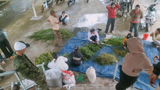 Các học viên thực hành kỹ năng chăm sóc trâu, bò. Ảnh: Bảo Lâm