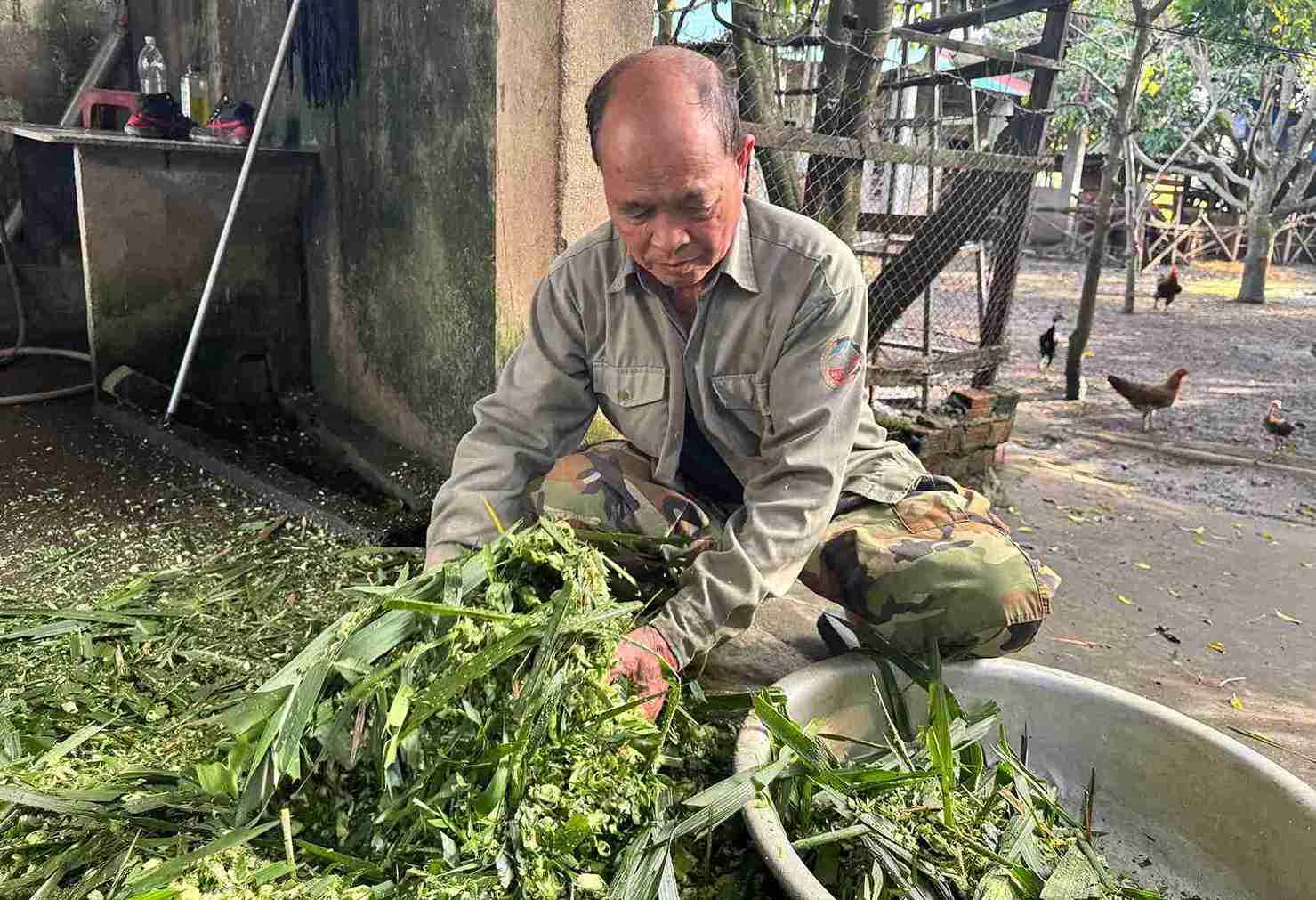 Người có uy tín như ông Nguyễn Hồng Phong góp phần lan tỏa khát vọng thoát nghèo đến từng hộ dân. Ảnh: Bảo Lâm