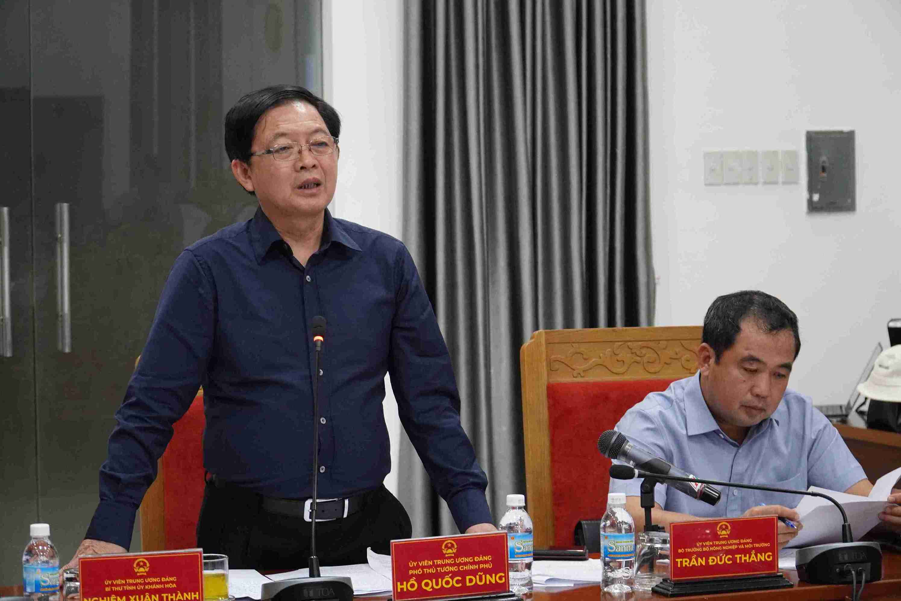 Phó Thủ tướng Hồ Quốc Dũng phát biểu chỉ đạo tại cuộc họp. Ảnh: Hữu Long