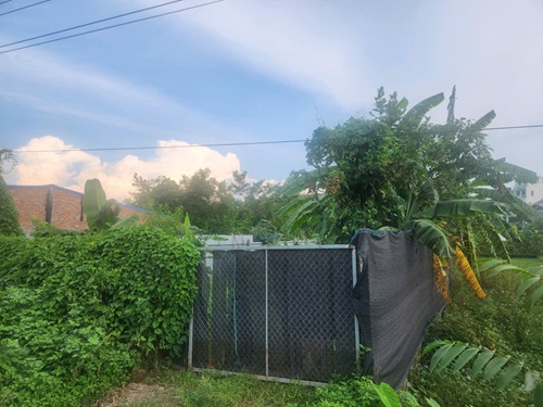 Đất nông nghiệp giá rẻ: “Canh bạc” khiến nhiều người trả giá đắt. Ảnh: Minh Hạnh