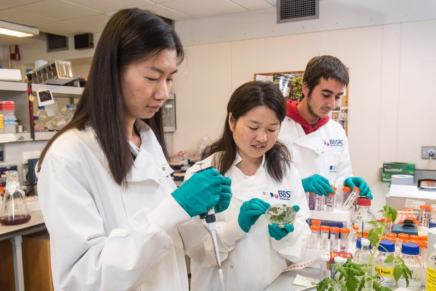 Trung Quốc tăng đầu tư cho nhân lực khoa học trẻ.