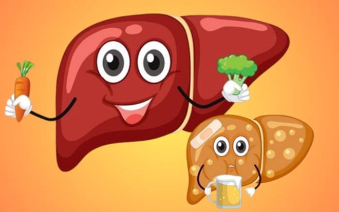 Cải thiện tình trạng gan nhiễm mỡ trong 28 ngày nhờ những thói quen đơn giản