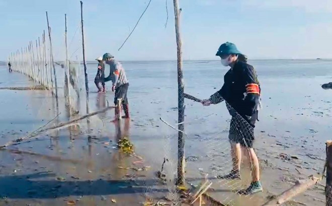 Quảng Ninh xử lý nhiều điểm nóng nuôi trồng thủy sản trái phép