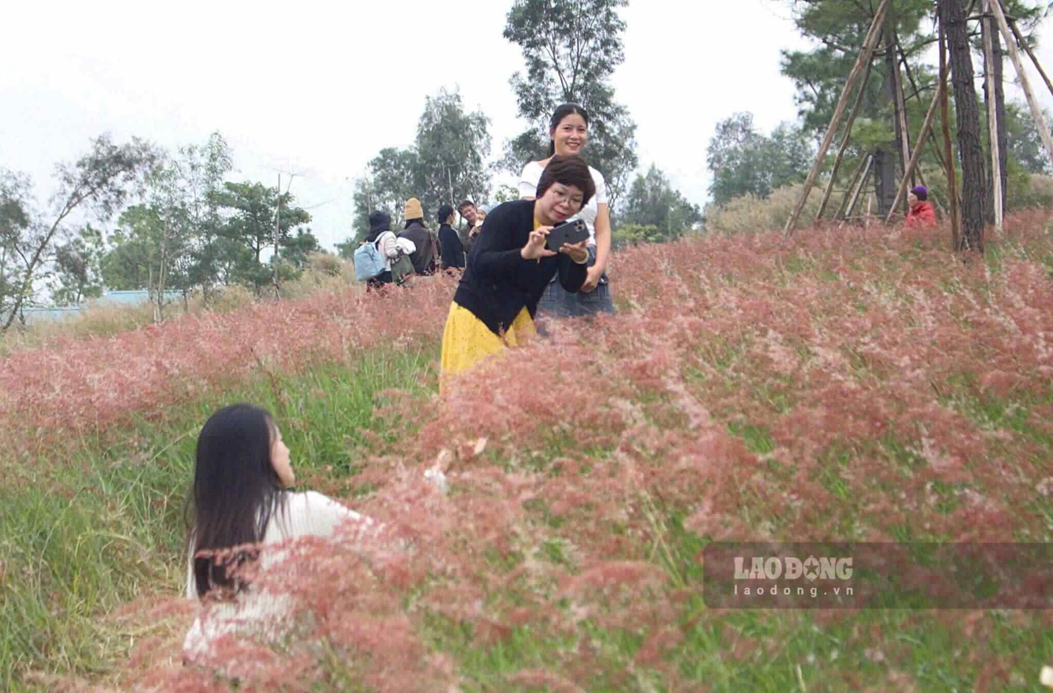 Đi qua hồ Côn Sơn mặt nước bao la lấp lánh, lại vòng qua con đường dốc với hai bên là những cây vải ra chi chít lá đỏ, du khách được chiêm ngưỡng đồi cỏ thoai thoải, với những đám cỏ hồng mềm mại ngả theo gió đông, nổi bật giữa khung cảnh bao la, hùng vĩ.